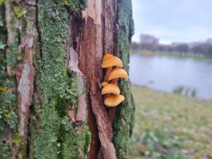 Отойти от драмы