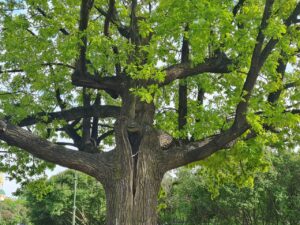 Безграничные возможности лета