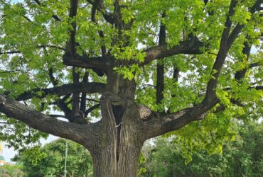 Безграничные возможности лета