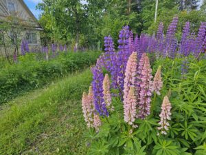 Делайте свой день шедевром