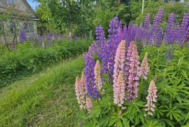 Делайте свой день шедевром