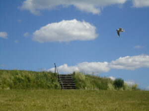 какого цвета ваше лето