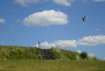 какого цвета ваше лето