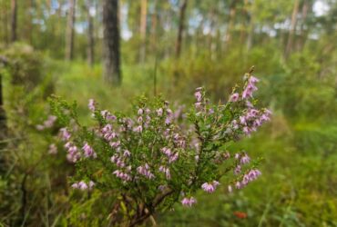 Ситуации и события