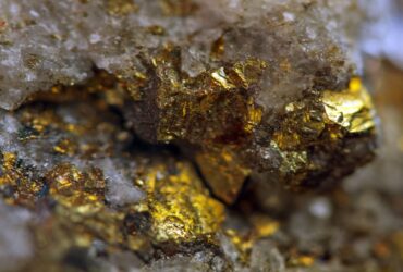 Сюда не заплывает Ламантин