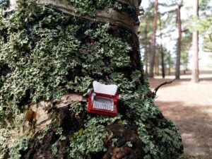 Как написать эссе