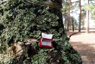 Как написать эссе