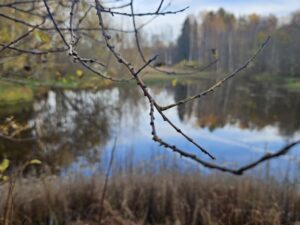 Люди и боги