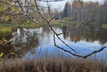 Люди и боги