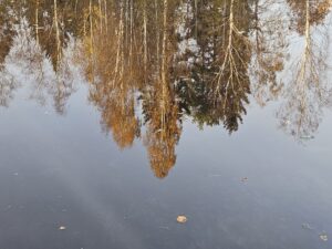 Осень - лакмусовая бумажка