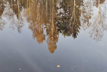 Осень - лакмусовая бумажка