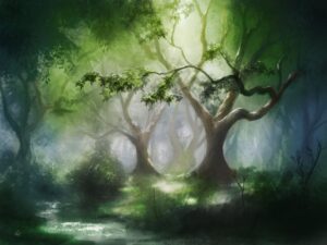 Без вариантов