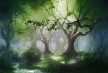 Без вариантов