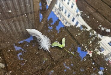 Писатель и город