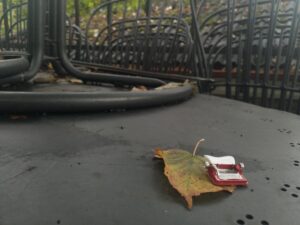 Как начать писать