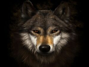 Теща Дракулы