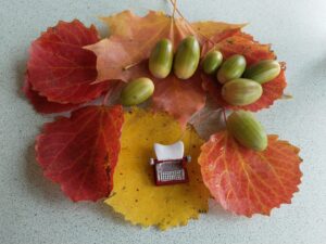 как поймать вдохновение в сентябре