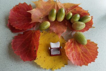 как поймать вдохновение в сентябре