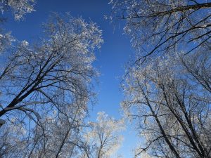 Ритуалы писателя