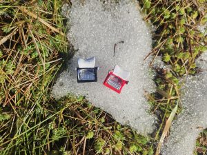 вписаться в этот мир